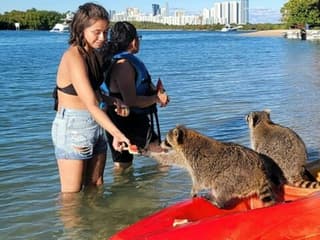 Miami: Nature & Island Exploration on SUP/Kayak