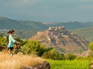 Castle of Cardona: Guided Visit