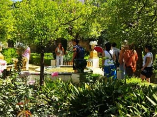 Seville: Las Setas, La Macarena, and Dueñas Palace Guided Tour — gallery 2