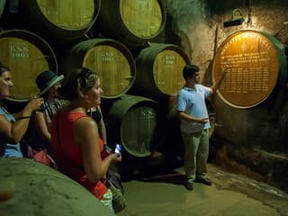 Small Group Wine Tour in Arrábida from Lisbon