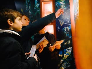 Rex Studios + Musée du Chocolat