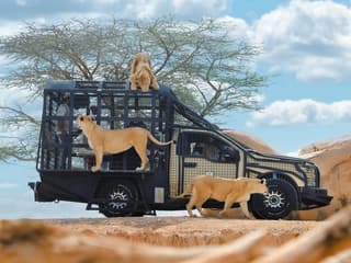 Al Ain Zoo Tickets