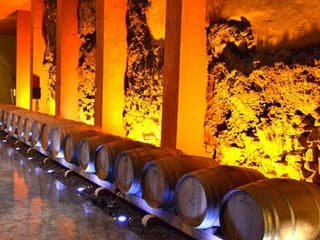 Bodegas Monje: Heimsókn í vínekru og vínsmökkun tickets at Bodegas Monje, Tenerife, photo 1