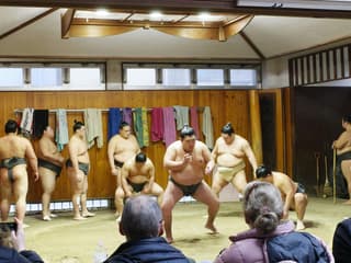 Premium Professional Sumo Morning Practice Experience in Asakusa
