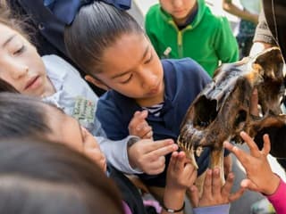 La Brea Tar Pits Museum — gallery 1