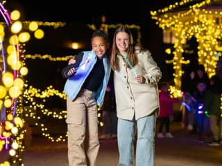Sovereign Hill: Winter Wonderlights Entry Ticket