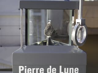 Cité de l'Espace: Ticket ohne Anstehen, Cité de l'Espace, Toulouse