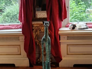 The Cat Cabinet: Entry Ticket — gallery 2