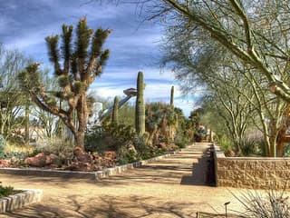Springs Preserve & Nevada State Museum — gallery 1