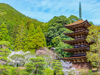 7 Day JR Setouchi Area pass — gallery 2
