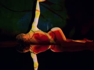 Crazy Horse Paris: Show Only — gallery 1