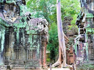 Angkor Wat: Sunrise Guided Tour — gallery 2