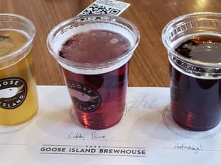 Chicago: Craft Brewery Barrel Bus Tour — gallery 1