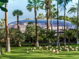 Loro Parque Entry Tickets — gallery 2
