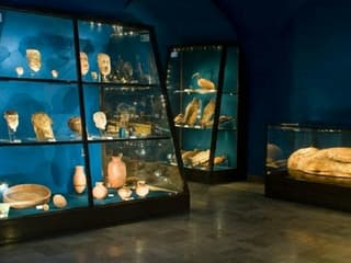 Archaeological Museum – Nowa Huta Branice — gallery 2