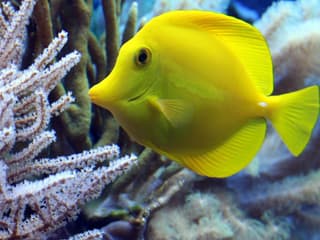 SEA LIFE Paris Aquarium