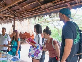 Waimea Valley: Guided Waterfall Hike & Swim Tour from Waikiki — gallery 1