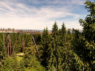 Zdiar : Treetop Walk Bachledka Private Tour from Krakow — gallery 3