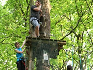 Sherwood Parc: Entry Ticket