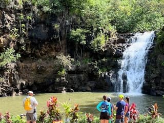 Waimea Valley: Guided Waterfall Hike & Swim Tour from Waikiki — gallery 3