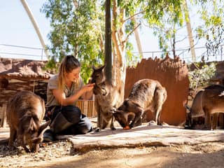 Sydney Multi-Attraction Pass — gallery 1