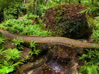 Pena Park in Sintra: Entry Ticket, Lisbon, photo 2