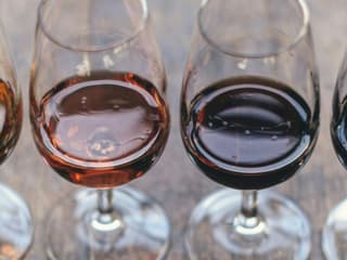 Madrid: Guided Wine, Tapas, and Olive Oil Tasting Experience — gallery 1