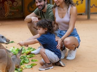 سان انتونیو چڑیا گھر کے لچکدار کسی بھی دن کے داخلہ ٹکٹ, San Antonio Zoo, San Antonio