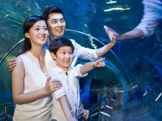 SEA LIFE COEX, Seoul Aquarium Tickets — gallery 1