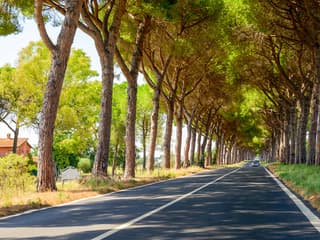 Private Transfers from/to Ciampino Airport — gallery 2