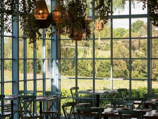 Yarra Valley: Guided Premium Lunch & Wine Tasting + Transfers