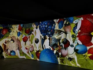 Hieronymus Bosch - Secret Signs: Entry Ticket + VR Experience