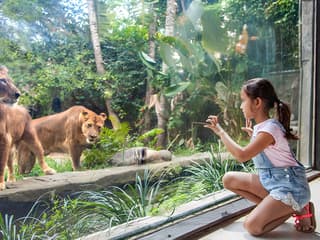 Bali Zoo Tickets with Elephant Feeding & Mud Bath — gallery 2