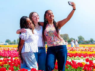 Tulip Experience Tickets with Tulip Fields Visit and Optional Transfers from Amsterdam — gallery 1