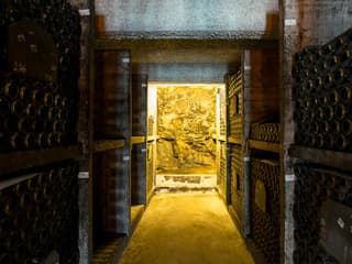 Porto Wine Tasting: Burmester Wine Cellars