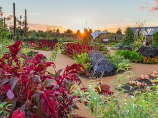 RHS Garden Wisley: Entry Ticket