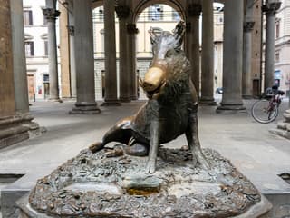 From Rome: Pisa and Florence Day Trip — gallery 3