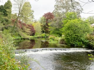 Avoca Mount Usher Gardens: Samodzielna Wędrówka, Mount Usher Gardens, Dublin