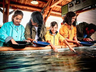Britannia Mine Museum: Entry Ticket + Guided Tour