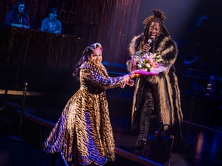 CATS: El Baile Jellicle tickets at Broadhurst Theatre, New York, photo 1