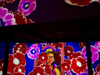 Frida Kahlo Exhibition Amsterdam: VR Experience — gallery 3