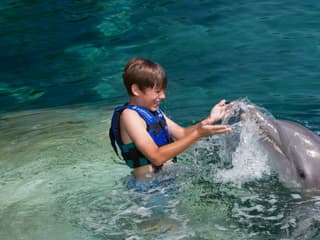 Delphinus Xcaret: Entry Ticket + Transfers + Swim with Dolphins