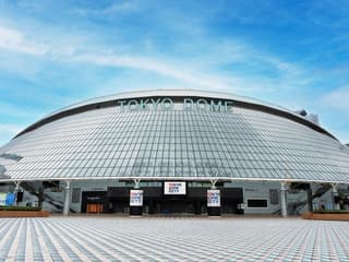 Tokyo Dome Tour: Field Access, Museum & Batting Challenge