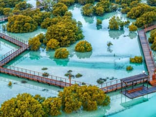 Jubail Mangrove Park: Boardwalk Experience Tour