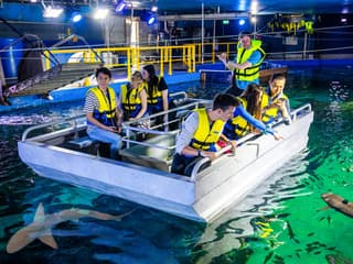 [Save upto 55%] Sydney 4 Attractions Pass
