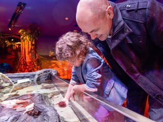 SEA LIFE Melbourne Aquarium Tickets — gallery 3