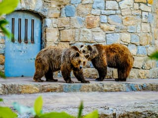 Jardim Zoológico Tickets