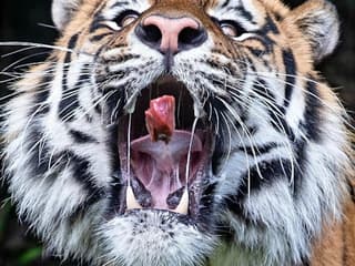 Ballarat Wildlife Park: Entry Ticket — gallery 1