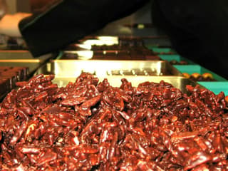 Paris: Guided Chocolate Tasting Tour — gallery 2