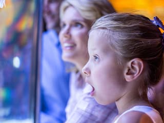 Shark Dive Xtreme Tickets at SEA LIFE Sydney Aquarium — gallery 3